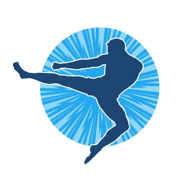 Dövüş sanatları pozu veren bir erkeğin silueti. Dövüş sanatları ustasının silueti tekme atma pozu veriyor..