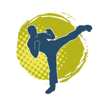 Dövüş sanatları pozu veren bir erkeğin silueti. Dövüş sanatları ustasının silueti tekme atma pozu veriyor..