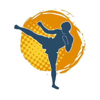 Dövüş sanatları pozu veren bir erkeğin silueti. Dövüş sanatları ustasının silueti tekme atma pozu veriyor..