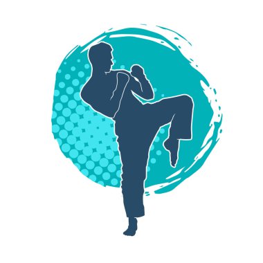 Dövüş sanatları pozu veren bir erkeğin silueti. Dövüş sanatları ustasının silueti tekme atma pozu veriyor..