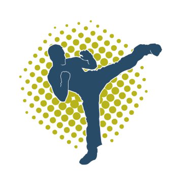 Dövüş sanatları pozu veren bir erkeğin silueti. Dövüş sanatları ustasının silueti tekme atma pozu veriyor..