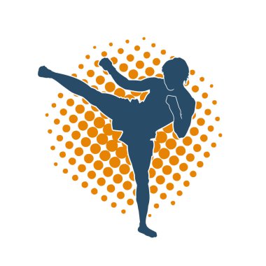 Dövüş sanatları pozu veren bir erkeğin silueti. Dövüş sanatları ustasının silueti tekme atma pozu veriyor..