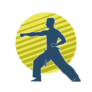 Doğu dövüş sanatı pozu veren bir adamın silueti. Dövüş sanatlarında bir erkeğin silueti..