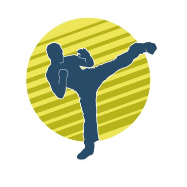 Dövüş sanatları pozu veren bir erkeğin silueti. Dövüş sanatları ustasının silueti tekme atma pozu veriyor..