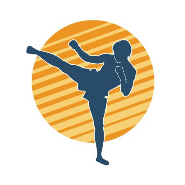 Dövüş sanatları pozu veren bir erkeğin silueti. Dövüş sanatları ustasının silueti tekme atma pozu veriyor..