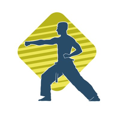 Doğu dövüş sanatı pozu veren bir adamın silueti. Dövüş sanatlarında bir erkeğin silueti..