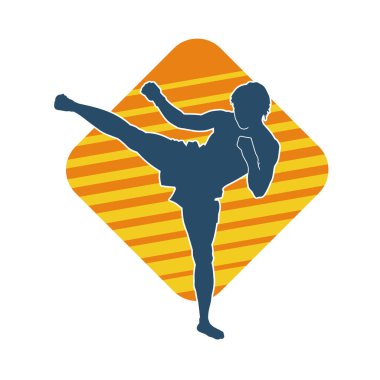 Dövüş sanatları pozu veren bir erkeğin silueti. Dövüş sanatları ustasının silueti tekme atma pozu veriyor..