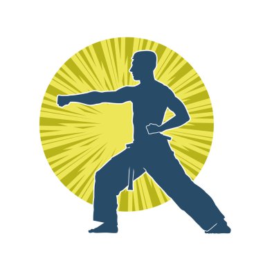 Doğu dövüş sanatı pozu veren bir adamın silueti. Dövüş sanatlarında bir erkeğin silueti..