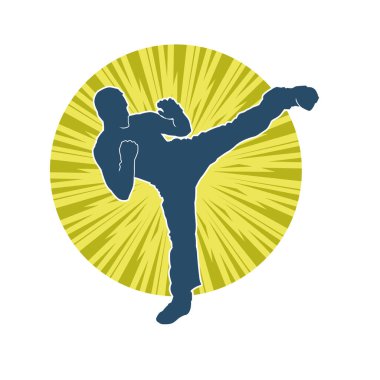 Dövüş sanatları pozu veren bir erkeğin silueti. Dövüş sanatları ustasının silueti tekme atma pozu veriyor..