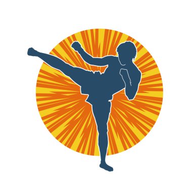 Dövüş sanatları pozu veren bir erkeğin silueti. Dövüş sanatları ustasının silueti tekme atma pozu veriyor..