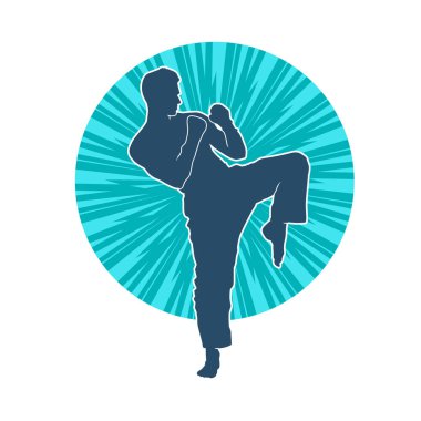 Dövüş sanatları pozu veren bir erkeğin silueti. Dövüş sanatları ustasının silueti tekme atma pozu veriyor..