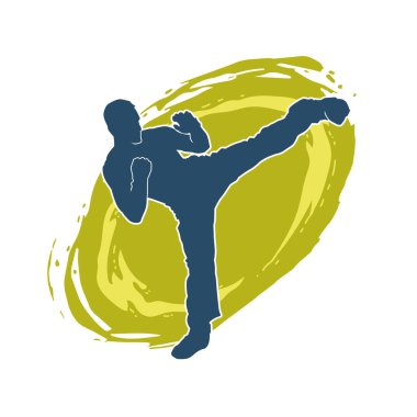 Dövüş sanatları pozu veren bir erkeğin silueti. Dövüş sanatları ustasının silueti tekme atma pozu veriyor..