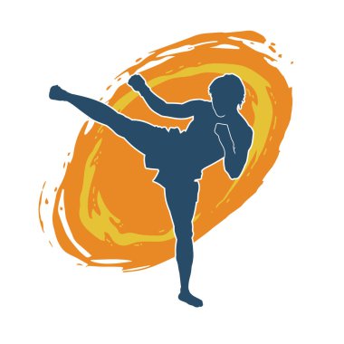 Dövüş sanatları pozu veren bir erkeğin silueti. Dövüş sanatları ustasının silueti tekme atma pozu veriyor..