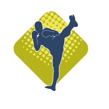 Dövüş sanatları pozu veren bir erkeğin silueti. Dövüş sanatları ustasının silueti tekme atma pozu veriyor..