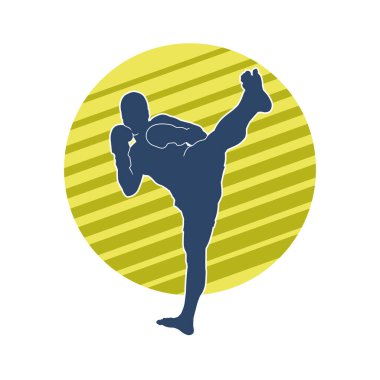 Dövüş sanatları pozu veren bir erkeğin silueti. Dövüş sanatları ustasının silueti tekme atma pozu veriyor..