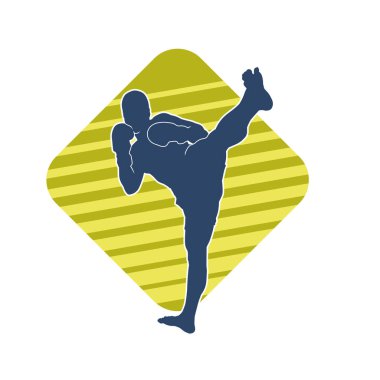 Dövüş sanatları pozu veren bir erkeğin silueti. Dövüş sanatları ustasının silueti tekme atma pozu veriyor..