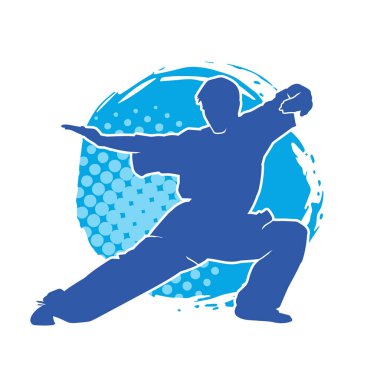 Doğu dövüş sanatı pozu veren bir adamın silueti. Dövüş sanatlarında bir erkeğin silueti..