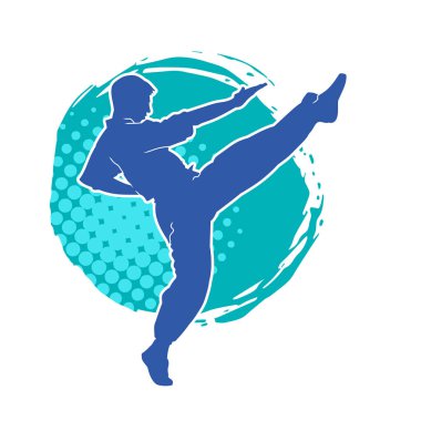 Dövüş sanatları pozu veren bir erkeğin silueti. Dövüş sanatları ustasının silueti tekme atma pozu veriyor..