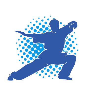 Doğu dövüş sanatı pozu veren bir adamın silueti. Dövüş sanatlarında bir erkeğin silueti..