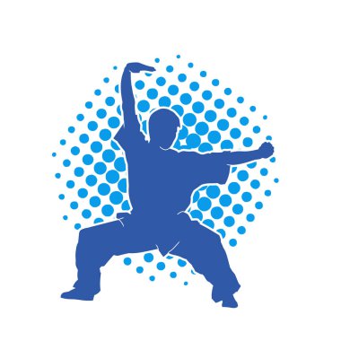 Doğu dövüş sanatı pozu veren bir adamın silueti. Dövüş sanatlarında bir erkeğin silueti..