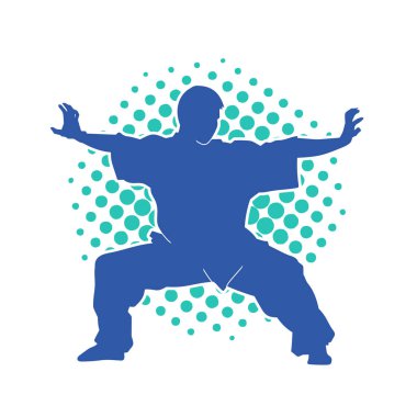 Doğu dövüş sanatı pozu veren bir adamın silueti. Dövüş sanatlarında bir erkeğin silueti..