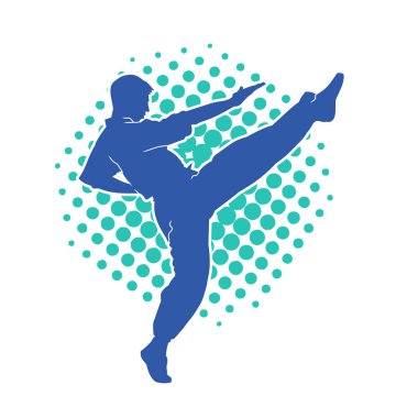 Dövüş sanatları pozu veren bir erkeğin silueti. Dövüş sanatları ustasının silueti tekme atma pozu veriyor..