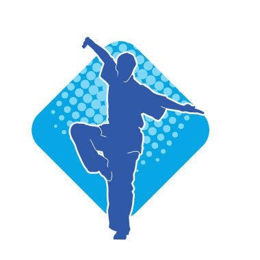 Doğu dövüş sanatı pozu veren bir adamın silueti. Dövüş sanatlarında bir erkeğin silueti..