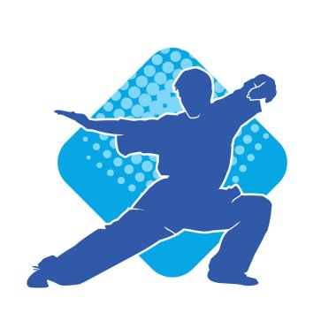 Doğu dövüş sanatı pozu veren bir adamın silueti. Dövüş sanatlarında bir erkeğin silueti..