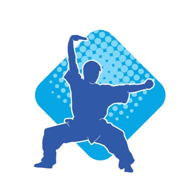 Doğu dövüş sanatı pozu veren bir adamın silueti. Dövüş sanatlarında bir erkeğin silueti..