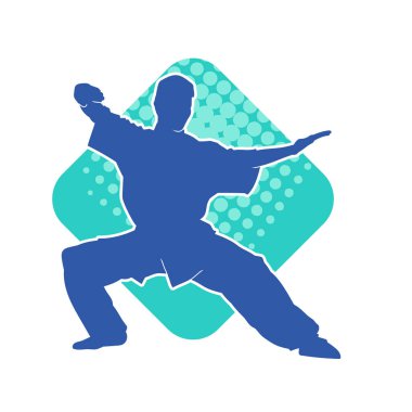 Doğu dövüş sanatı pozu veren bir adamın silueti. Dövüş sanatlarında bir erkeğin silueti..