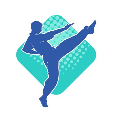 Dövüş sanatları pozu veren bir erkeğin silueti. Dövüş sanatları ustasının silueti tekme atma pozu veriyor..