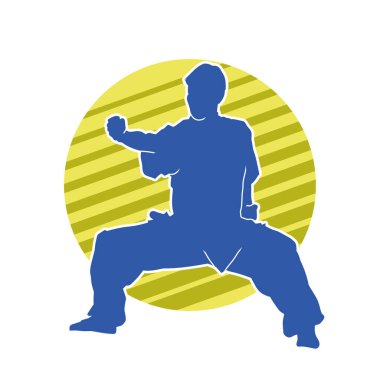 Doğu dövüş sanatı pozu veren bir adamın silueti. Dövüş sanatlarında bir erkeğin silueti..