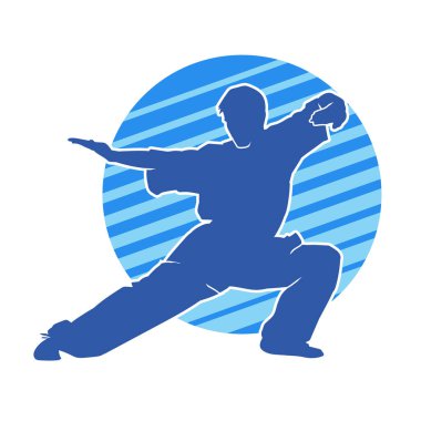 Doğu dövüş sanatı pozu veren bir adamın silueti. Dövüş sanatlarında bir erkeğin silueti..