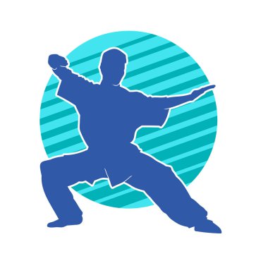 Doğu dövüş sanatı pozu veren bir adamın silueti. Dövüş sanatlarında bir erkeğin silueti..