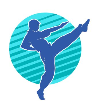 Dövüş sanatları pozu veren bir erkeğin silueti. Dövüş sanatları ustasının silueti tekme atma pozu veriyor..