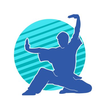 Doğu dövüş sanatı pozu veren bir adamın silueti. Dövüş sanatlarında bir erkeğin silueti..