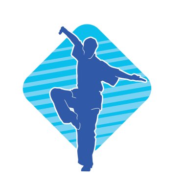 Doğu dövüş sanatı pozu veren bir adamın silueti. Dövüş sanatlarında bir erkeğin silueti..