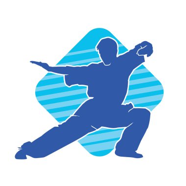 Doğu dövüş sanatı pozu veren bir adamın silueti. Dövüş sanatlarında bir erkeğin silueti..