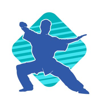 Doğu dövüş sanatı pozu veren bir adamın silueti. Dövüş sanatlarında bir erkeğin silueti..