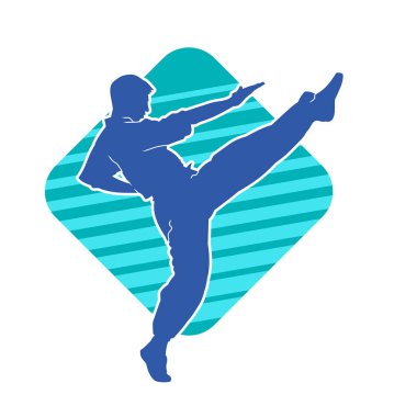 Dövüş sanatları pozu veren bir erkeğin silueti. Dövüş sanatları ustasının silueti tekme atma pozu veriyor..