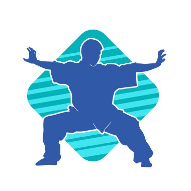 Doğu dövüş sanatı pozu veren bir adamın silueti. Dövüş sanatlarında bir erkeğin silueti..