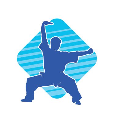 Doğu dövüş sanatı pozu veren bir adamın silueti. Dövüş sanatlarında bir erkeğin silueti..