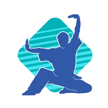 Doğu dövüş sanatı pozu veren bir adamın silueti. Dövüş sanatlarında bir erkeğin silueti..