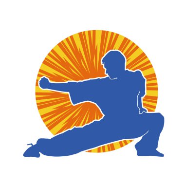 Doğu dövüş sanatı pozu veren bir adamın silueti. Dövüş sanatlarında bir erkeğin silueti..