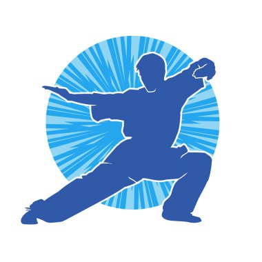 Doğu dövüş sanatı pozu veren bir adamın silueti. Dövüş sanatlarında bir erkeğin silueti..