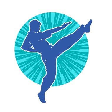 Dövüş sanatları pozu veren bir erkeğin silueti. Dövüş sanatları ustasının silueti tekme atma pozu veriyor..