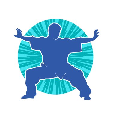 Doğu dövüş sanatı pozu veren bir adamın silueti. Dövüş sanatlarında bir erkeğin silueti..