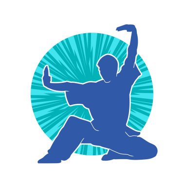 Doğu dövüş sanatı pozu veren bir adamın silueti. Dövüş sanatlarında bir erkeğin silueti..