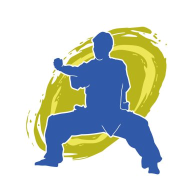 Doğu dövüş sanatı pozu veren bir adamın silueti. Dövüş sanatlarında bir erkeğin silueti..