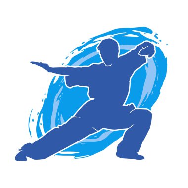 Doğu dövüş sanatı pozu veren bir adamın silueti. Dövüş sanatlarında bir erkeğin silueti..